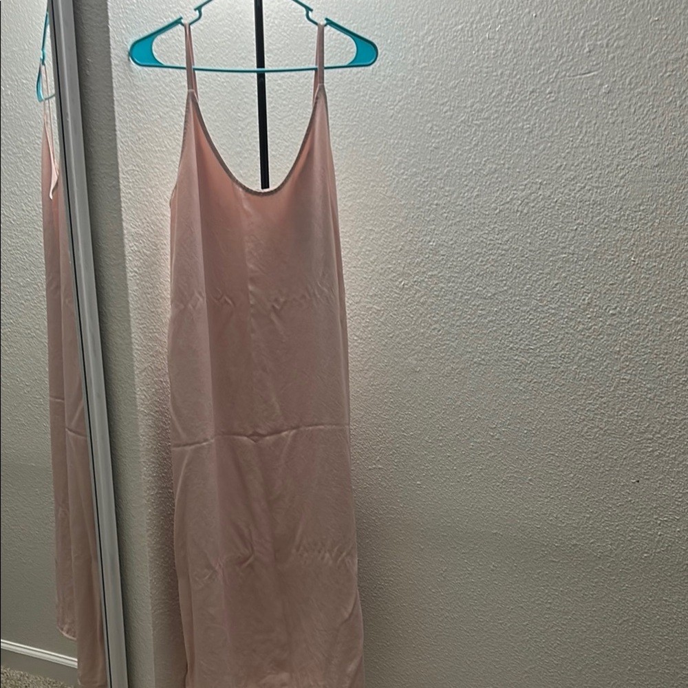 Everlane Soft Pink Chemise